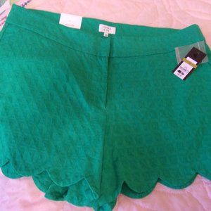 Crown & Ivy Shorts Brand New With Tags Size 14